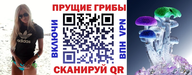 Галлюциногенные грибы MAGIC MUSHROOMS  хочу наркоту  Красноуральск 